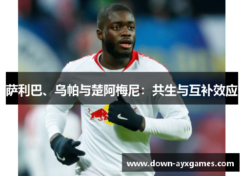 萨利巴、乌帕与楚阿梅尼：共生与互补效应