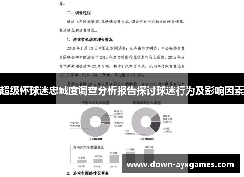超级杯球迷忠诚度调查分析报告探讨球迷行为及影响因素