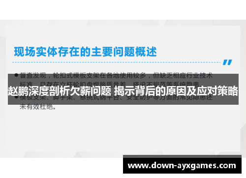 赵鹏深度剖析欠薪问题 揭示背后的原因及应对策略