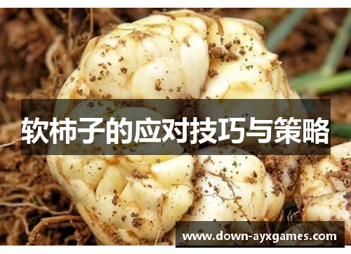 软柿子的应对技巧与策略