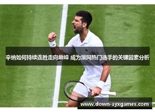 辛纳如何持续连胜走向巅峰 成为澳网热门选手的关键因素分析