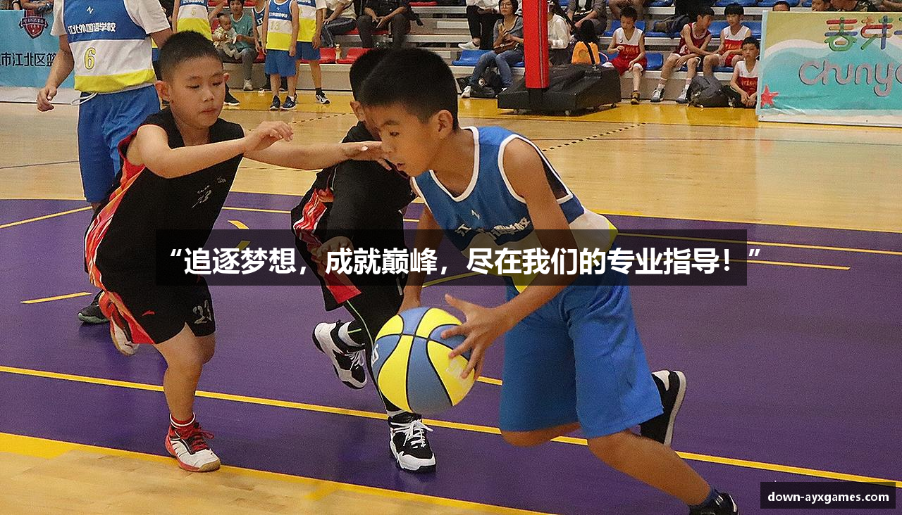 “追逐梦想，成就巅峰，尽在我们的专业指导！”